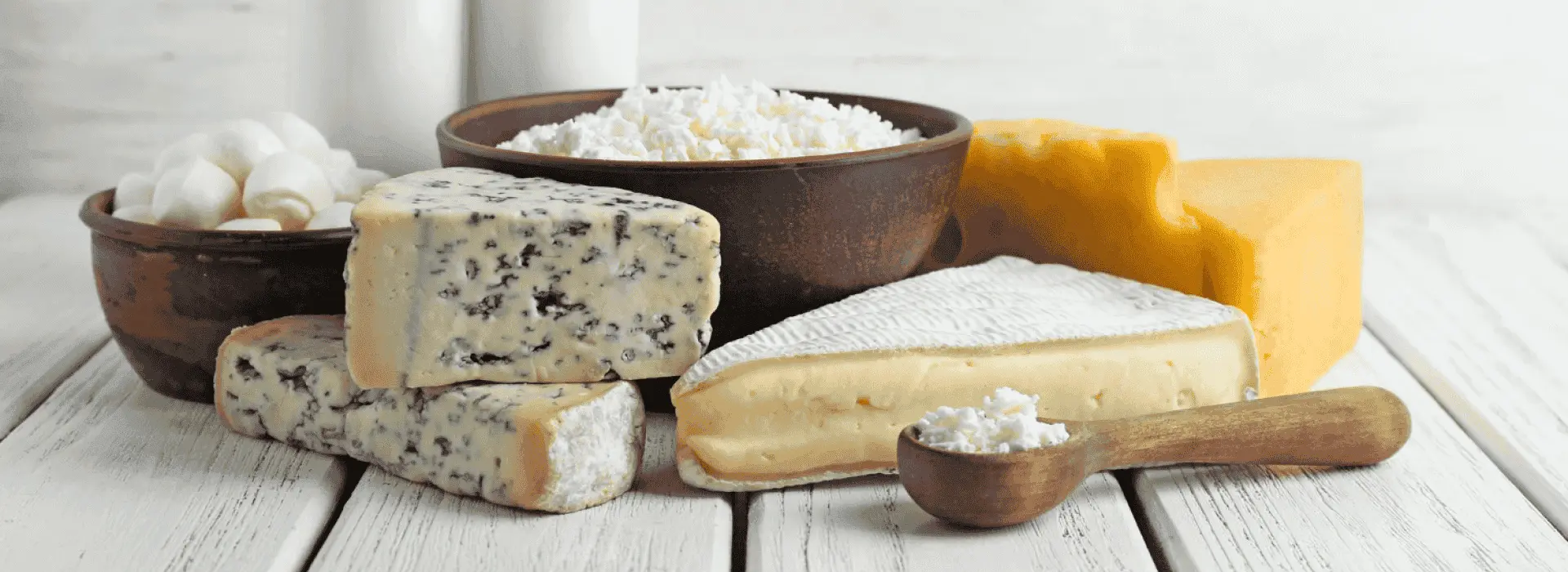 Dairy & Cheese Products